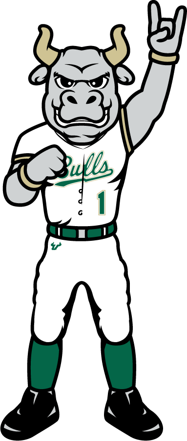 South Florida Bulls 2022-Pres Mascot Logo v3 diy iron on heat transfer
